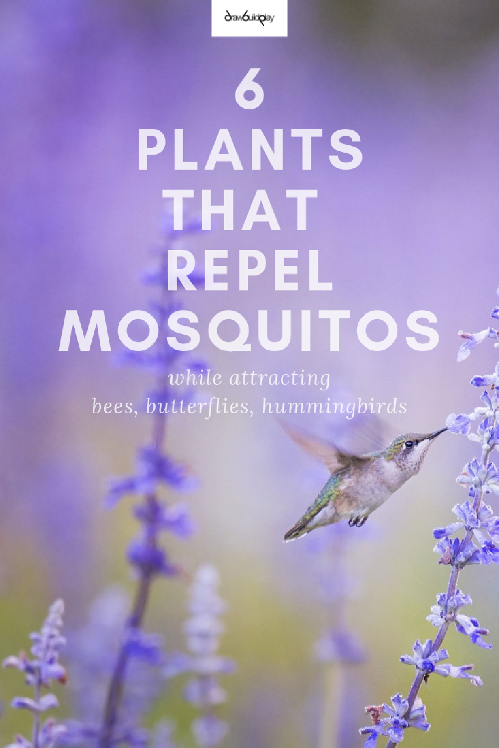 6 Best DIY Natural Mosquito Repellent Plants for your yard (%!s(<nil>), %!s(<nil>), %!s(<nil>)) - As our temperatures start to go over 50 degrees F, the mosquitoes move in and destroy our spring and summer dreams outdoors.  Repel those mosquitos with a natural mosquito repellent strategy, by planting herbs and flowers that they hate, causing the mosquitoes to move on.